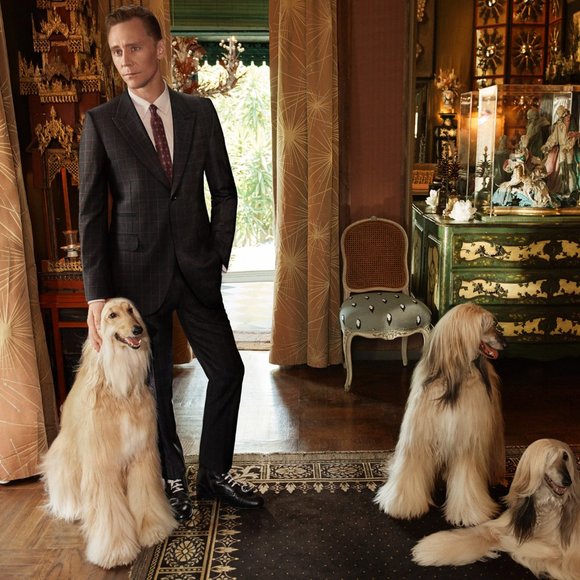 GUCCI Queercore Brogue Shoes - Picture 3 of 10